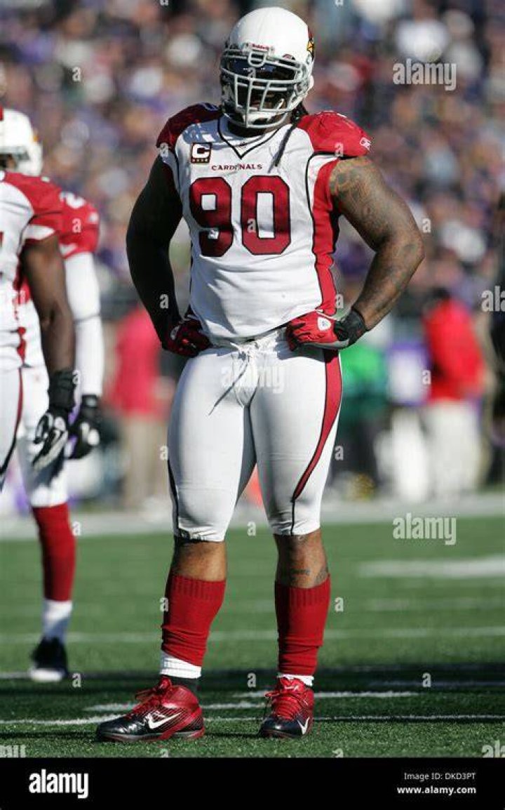 Darnell Dockett Cardinals