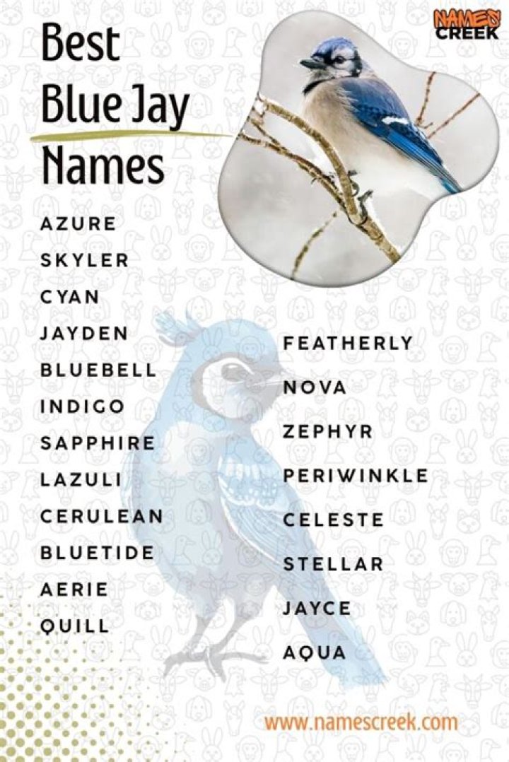 Exploring The Names Of Jay Harrington's Children